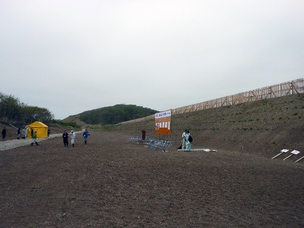 クロマツの植栽作業