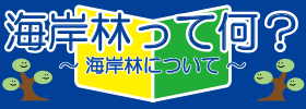 海岸林について
